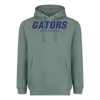 Sage GATORS BASEBALL Heavyweight Hoodie - linhVisuals