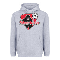 Heather Grey atlanta silverbacks Heavyweight Hoodie - linhVisuals