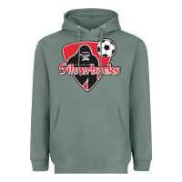 Sage atlanta silverbacks Heavyweight Hoodie - linhVisuals