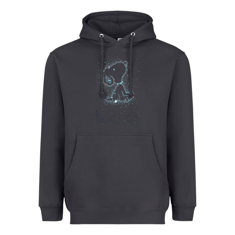 S.n.o.o.p.y Stars Heavyweight Hoodie by linhVisuals | Teevron