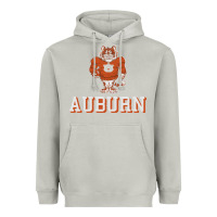 Moon Dust auburn tigers 02 Heavyweight Hoodie - linhVisuals