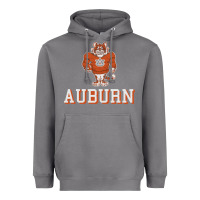 Storm auburn tigers 02 Heavyweight Hoodie - linhVisuals