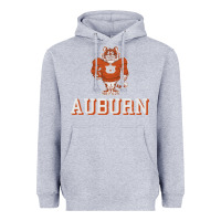 Heather Grey auburn tigers 02 Heavyweight Hoodie - linhVisuals