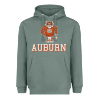 Sage auburn tigers 02 Heavyweight Hoodie - linhVisuals