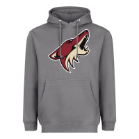 Storm the-coyotes-of-arizona-sporst Heavyweight Hoodie - linhVisuals