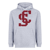 Heather Grey santa clara br Heavyweight Hoodie - linhVisuals