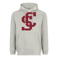 Moon Dust santa clara br Heavyweight Hoodie - linhVisuals