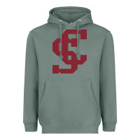 Sage santa clara br Heavyweight Hoodie - linhVisuals