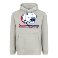 Moon Dust south alabam Heavyweight Hoodie - linhVisuals