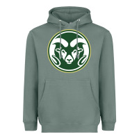 Sage The colorado state rams Heavyweight Hoodie - linhVisuals