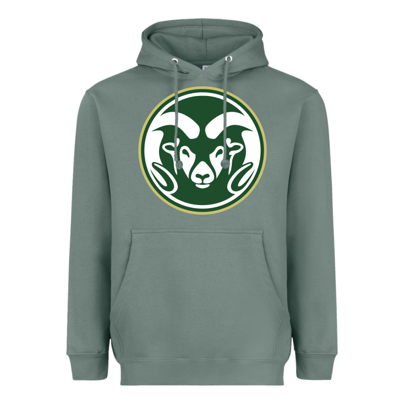 The Colorado State Rams Heavyweight Hoodie by linhVisuals | Teevron