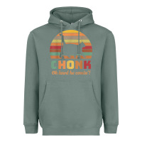 Sage chonk cat scale meme retro oh lawd he comin' memes t shirt Heavyweight Hoodie - linhVisuals