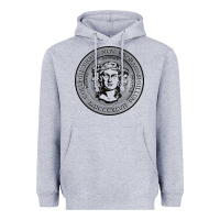 Heather Grey city college of new york seal Heavyweight Hoodie - linhVisuals