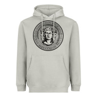 Moon Dust city college of new york seal Heavyweight Hoodie - linhVisuals