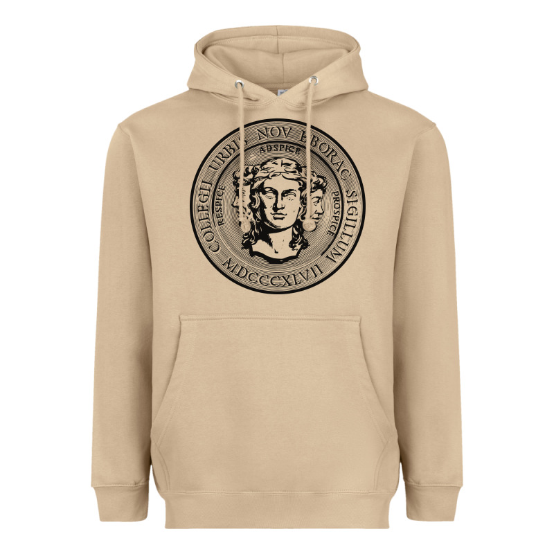 City College Of New York Seal Heavyweight Hoodie by linhVisuals | Teevron