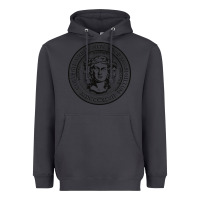 Smoke city college of new york seal Heavyweight Hoodie - linhVisuals