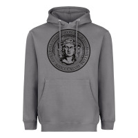 Storm city college of new york seal Heavyweight Hoodie - linhVisuals