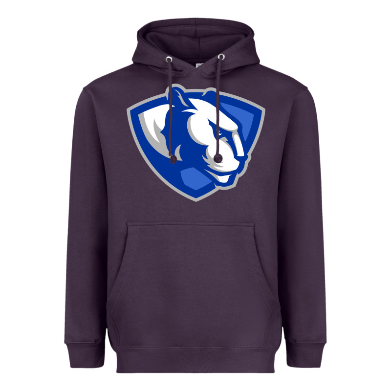 The Eastern Illinois Panthers Heavyweight Hoodie by linhVisuals | Teevron