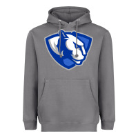 Storm The eastern illinois panthers Heavyweight Hoodie - linhVisuals