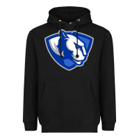 Black The eastern illinois panthers Heavyweight Hoodie - linhVisuals