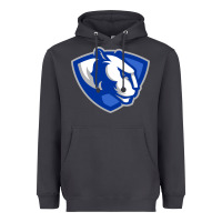 Smoke The eastern illinois panthers Heavyweight Hoodie - linhVisuals