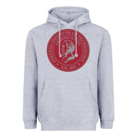 Heather Grey stevens institute of technology Heavyweight Hoodie - linhVisuals