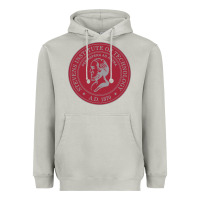 Moon Dust stevens institute of technology Heavyweight Hoodie - linhVisuals