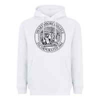 White swarthmore college Heavyweight Hoodie - linhVisuals