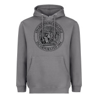Storm swarthmore college Heavyweight Hoodie - linhVisuals