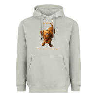 Moon Dust can i pet dat dawg funny dog dachshund lover doxie gift t shirt Heavyweight Hoodie - linhVisuals