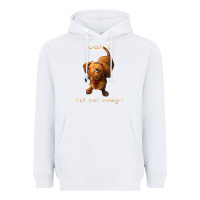 White can i pet dat dawg funny dog dachshund lover doxie gift t shirt Heavyweight Hoodie - linhVisuals