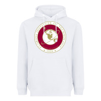 White florida institute of technology Heavyweight Hoodie - linhVisuals