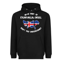 Black what part of eyjafjallajökull don't you understand raglan baseball te Heavyweight Hoodie - linhVisuals