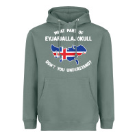 Sage what part of eyjafjallajökull don't you understand raglan baseball te Heavyweight Hoodie - linhVisuals