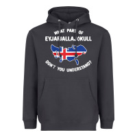 Smoke what part of eyjafjallajökull don't you understand raglan baseball te Heavyweight Hoodie - linhVisuals