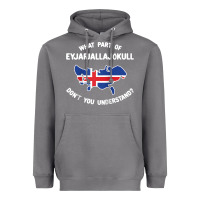 Storm what part of eyjafjallajökull don't you understand raglan baseball te Heavyweight Hoodie - linhVisuals