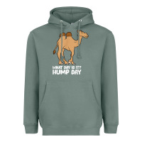 Sage what day is it hump day funny camels hump day t shirt Heavyweight Hoodie - linhVisuals