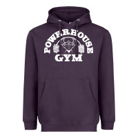 Plum POWERHOUSE GYM POPULAR Heavyweight Hoodie - linhVisuals