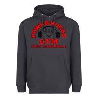 Smoke POWERHOUSE GYM CLASSIC Heavyweight Hoodie - linhVisuals