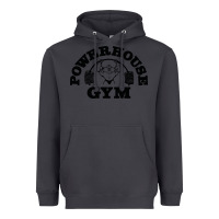Smoke POWERHOUSE GYM Heavyweight Hoodie - linhVisuals