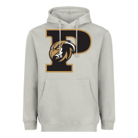 Moon Dust poolesville high school Heavyweight Hoodie - linhVisuals