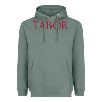 Sage tabor academy Heavyweight Hoodie - linhVisuals