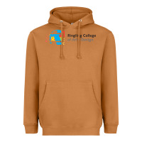 Ringling College Of Art And Design Heavyweight Hoodie | Teevron