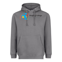 Storm Ringling College of Art and Design Heavyweight Hoodie - linhVisuals