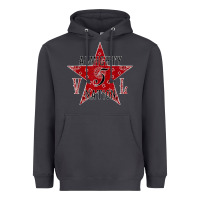 Smoke almighty vice lord nation vl avln t shirt Heavyweight Hoodie - linhVisuals