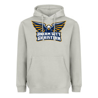Twin City Christian School Heavyweight Hoodie | Teevron