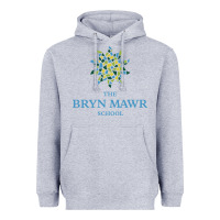 Heather Grey bryn mawr school Heavyweight Hoodie - linhVisuals