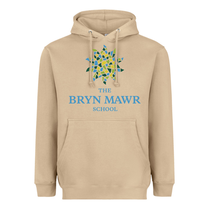 Bryn Mawr School Heavyweight Hoodie by linhVisuals | Teevron