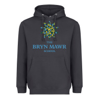 Smoke bryn mawr school Heavyweight Hoodie - linhVisuals