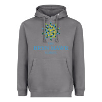 Storm bryn mawr school Heavyweight Hoodie - linhVisuals